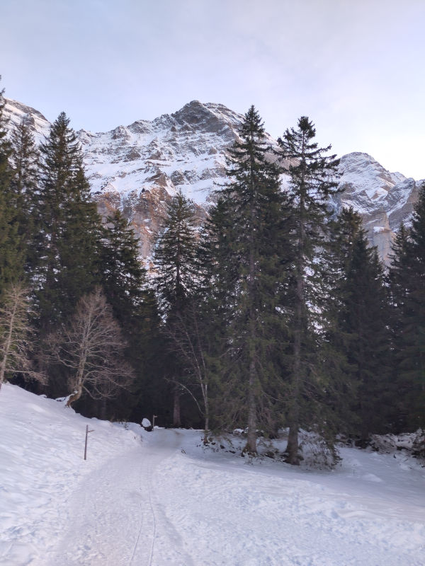 schnee landschaft